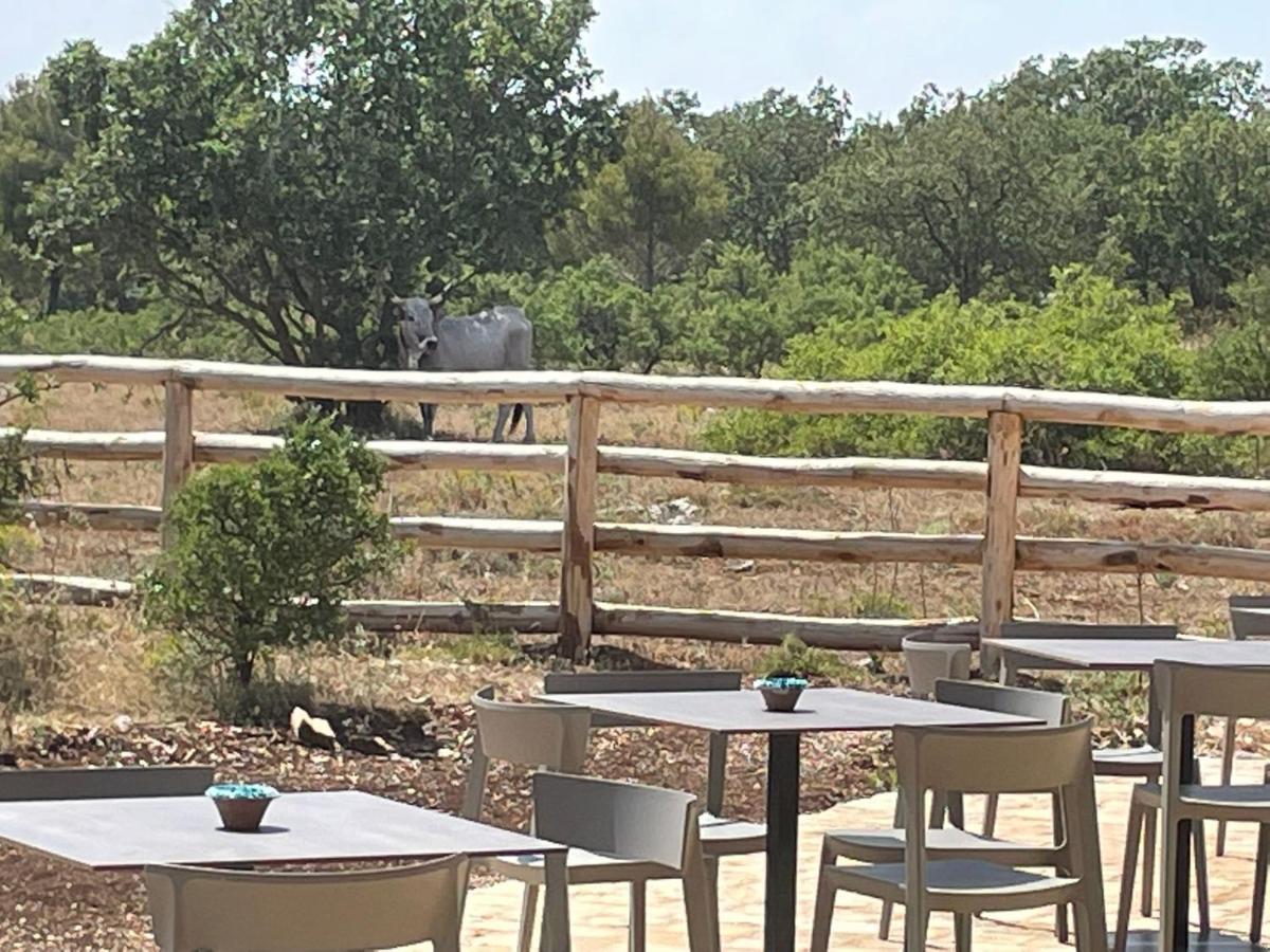 Donnapaola Modern Farm Villa Altamura Bagian luar foto